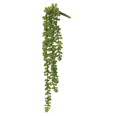 Baby Tears Hanging Vine - Greenery & Floral - awesome looking stems with different texture for floral arranging